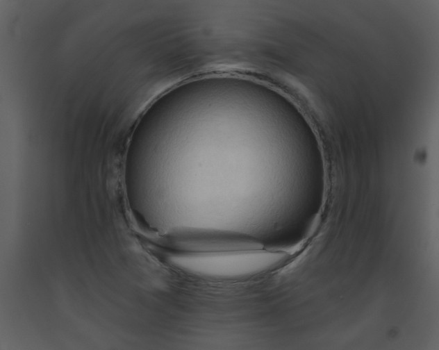 X0000093561361200710221414