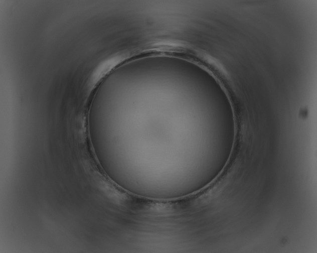 X0000093561362200710221414