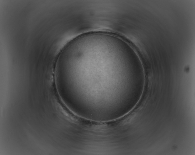 X0000093561363200710221414