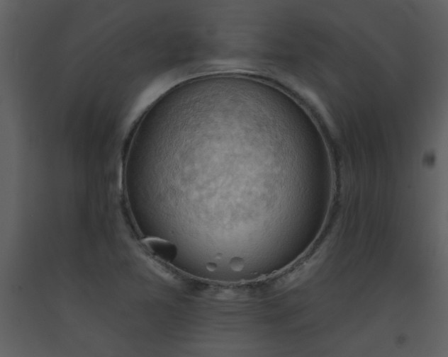 X0000093561365200710221414