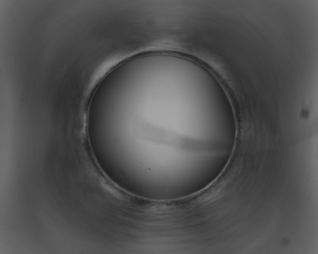 X0000093561366200710221414