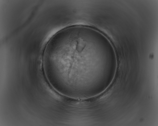 X0000093561367200710221414