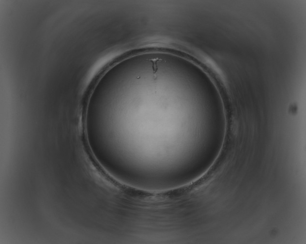 X0000093561368200710221414