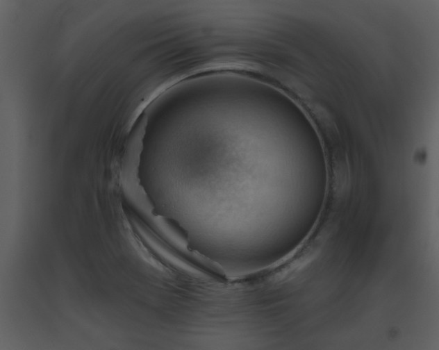 X0000093561369200710221414
