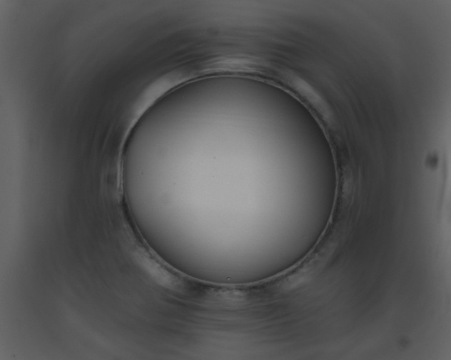 X0000093561370200710221414