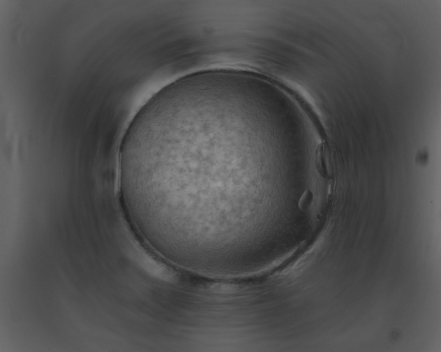 X0000093561371200710221414