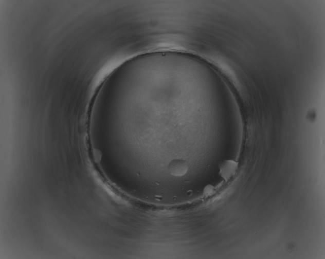 X0000093561373200710221414