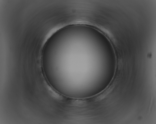 X0000093561374200710221414