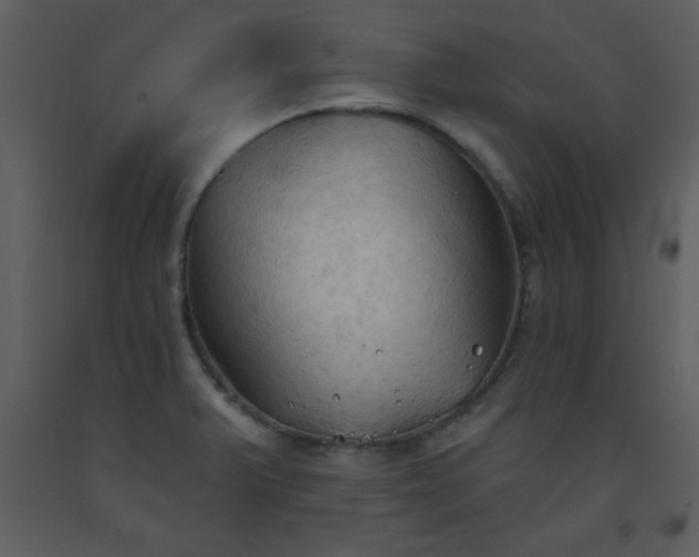 X0000093561375200710221414
