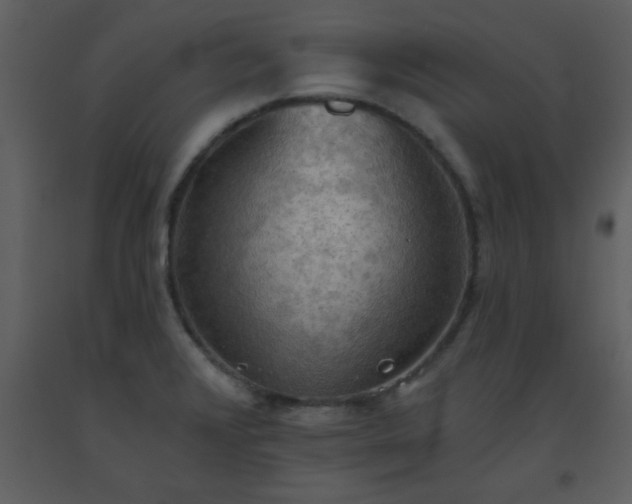 X0000093561376200710221414