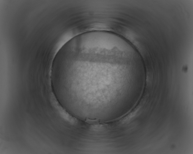 X0000093561378200710221414