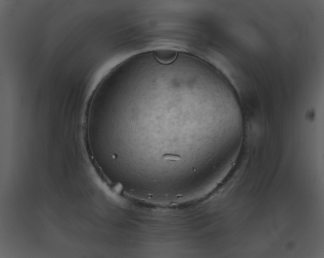 X0000093561379200710221414
