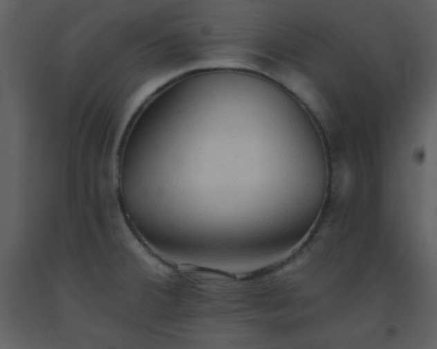 X0000093561380200710221414