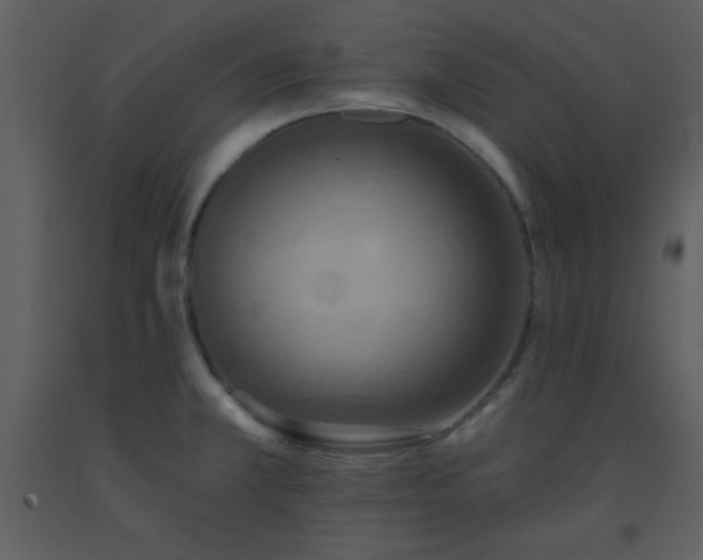 X0000093561381200710221414