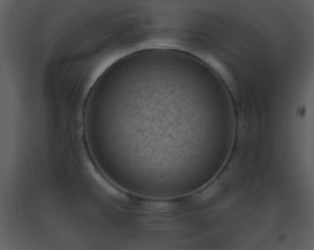 X0000093561382200710221414