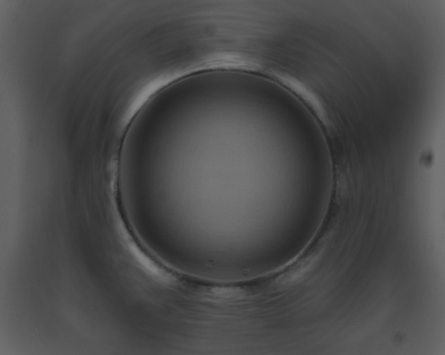 X0000093561383200710221414