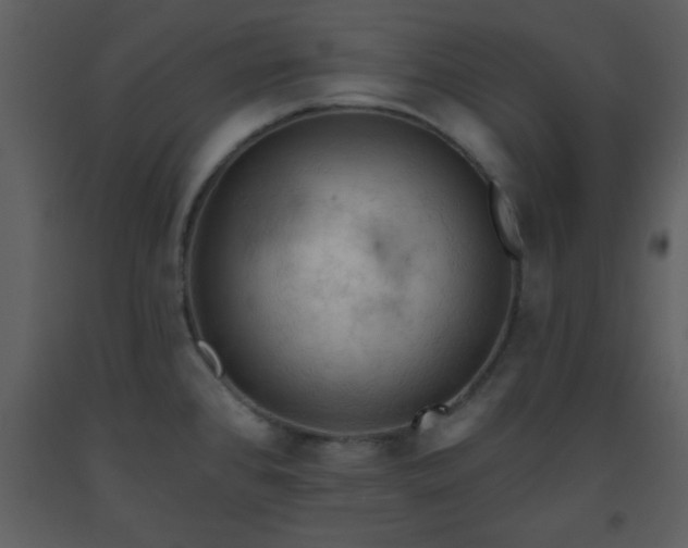 X0000093561384200710221414