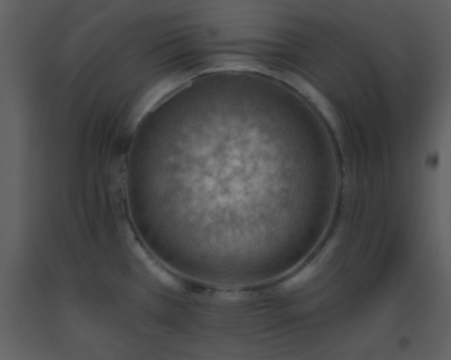 X0000093561385200710221414