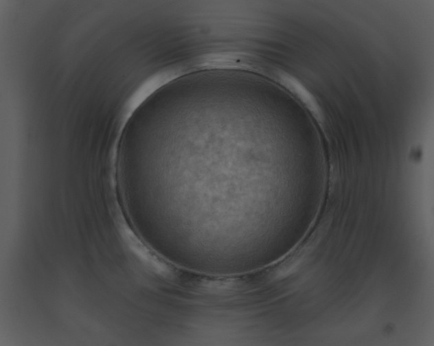 X0000093561386200710221414