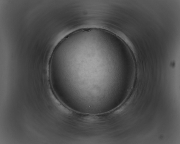 X0000093561388200710221414