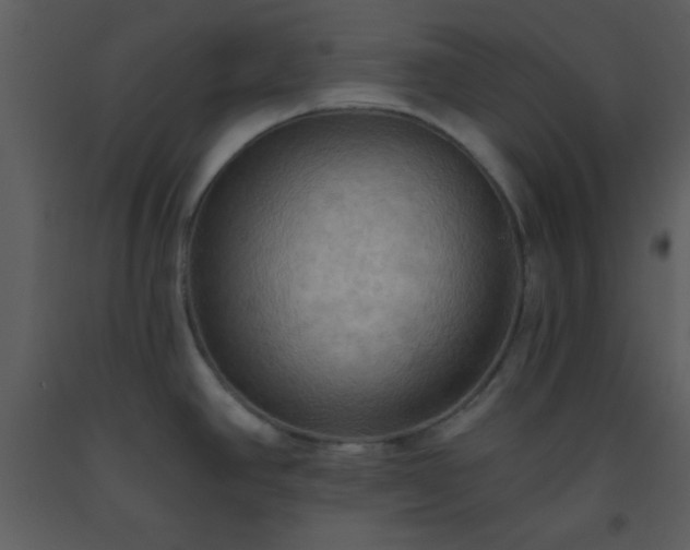 X0000093561390200710221414
