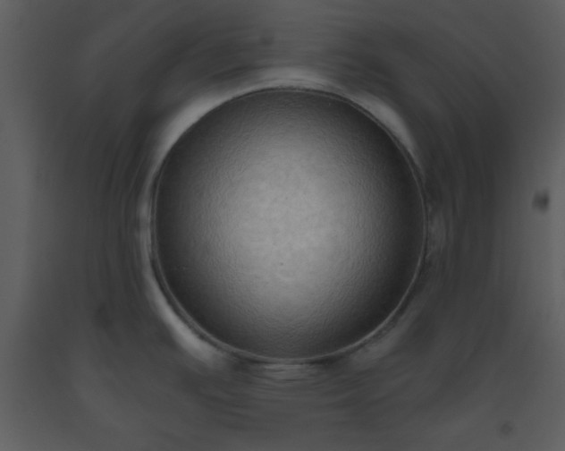X0000093561391200710221414