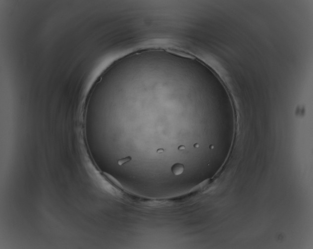 X0000093561392200710221414