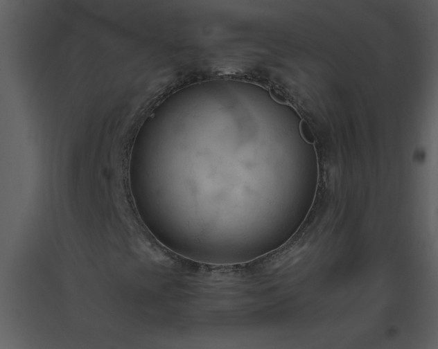 X0000093561393200710221413