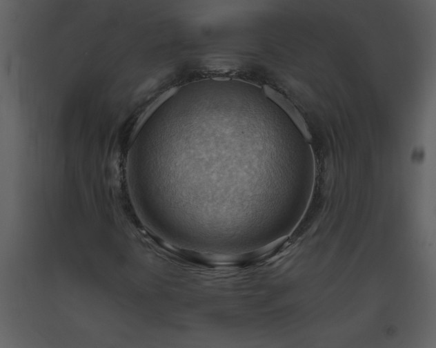 X0000093561394200710221413