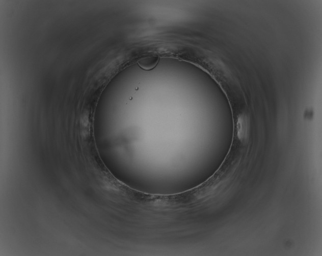 X0000093561395200710221413