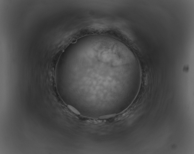 X0000093561397200710221413
