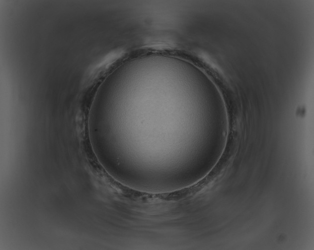 X0000093561398200710221413