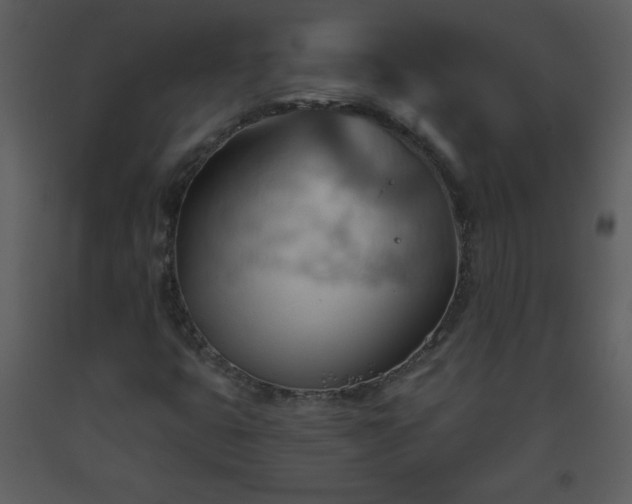 X0000093561399200710221413