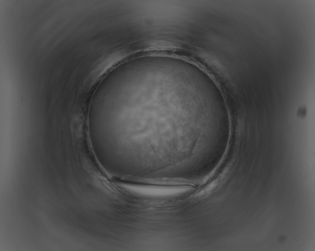 X0000093561401200710221413