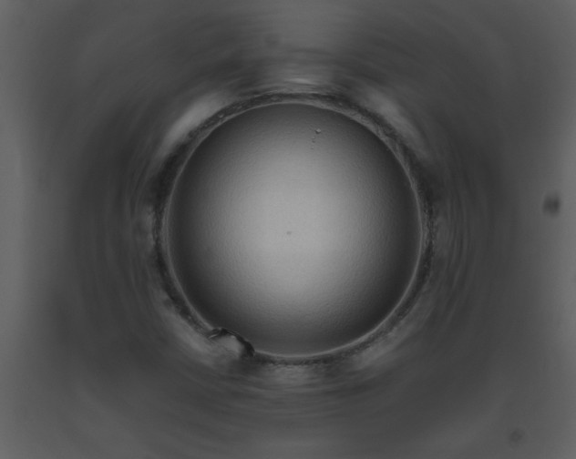 X0000093561402200710221413