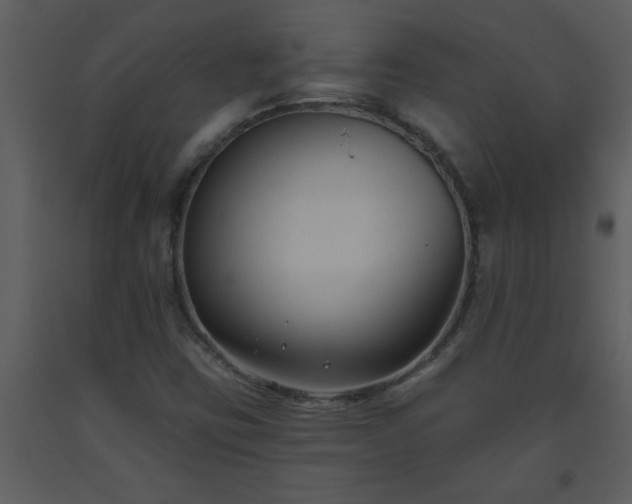 X0000093561403200710221413