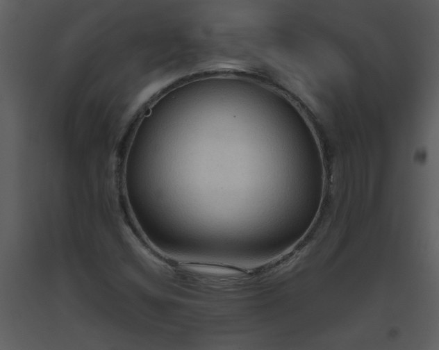 X0000093561404200710221413