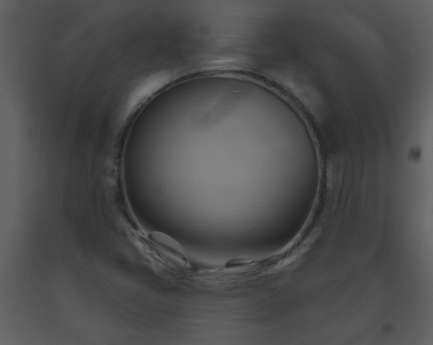 X0000093561405200710221413