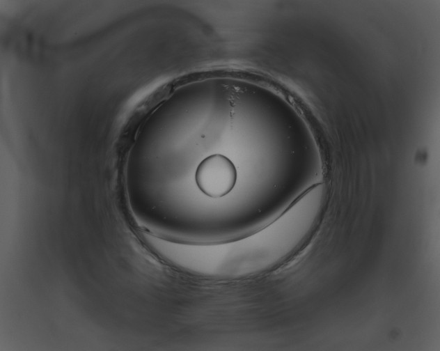 X0000093561406200710221413