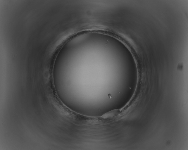 X0000093561407200710221413