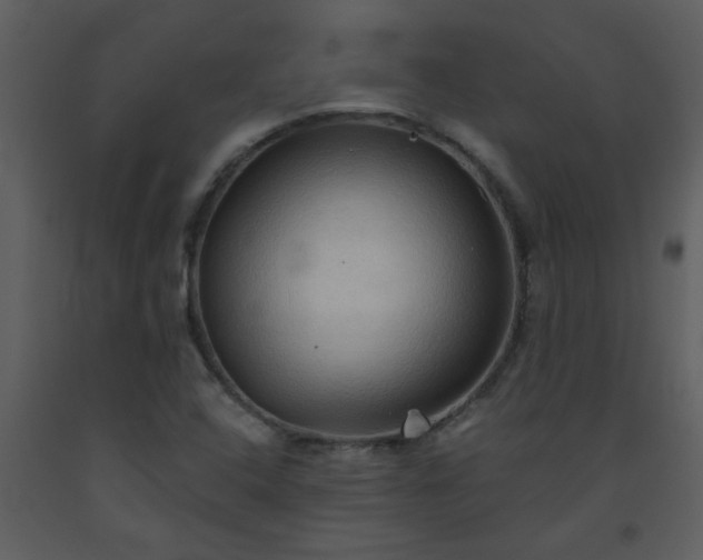 X0000093561408200710221413