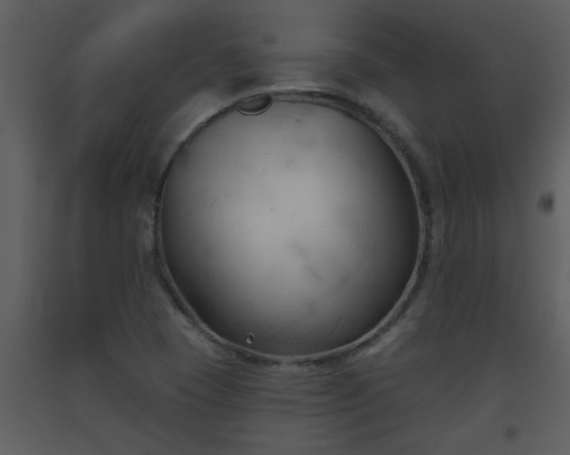 X0000093561409200710221413