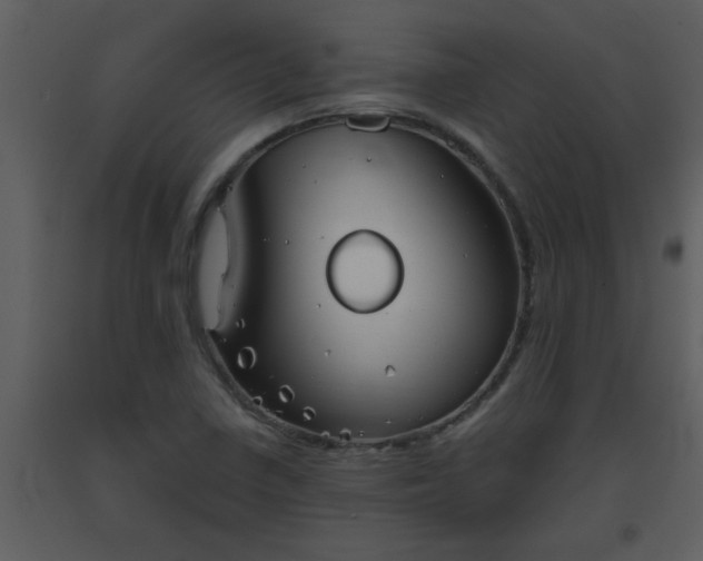 X0000093561410200710221413
