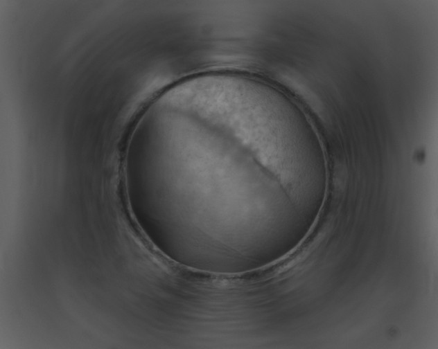 X0000093561411200710221413