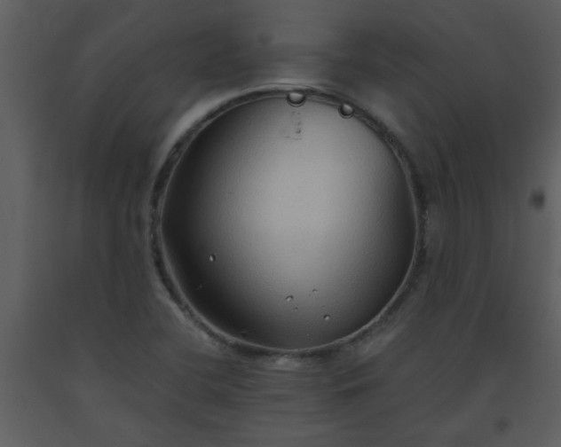 X0000093561412200710221413