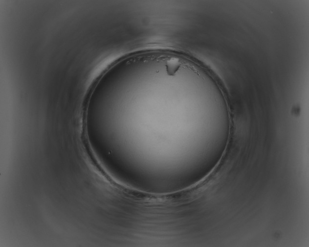 X0000093561415200710221413
