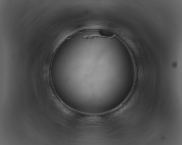 X0000093561417200710221413