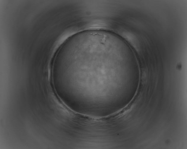 X0000093561419200710221413