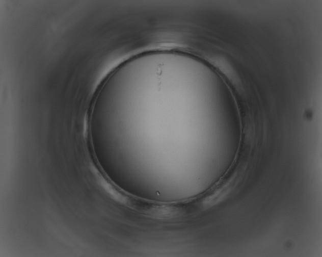 X0000093561420200710221413