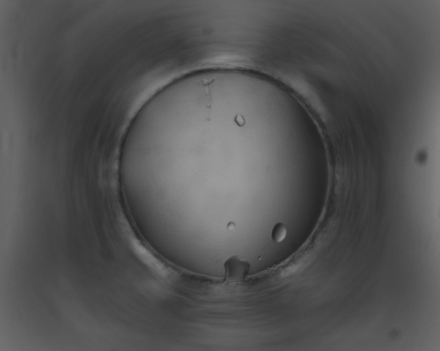 X0000093561421200710221413